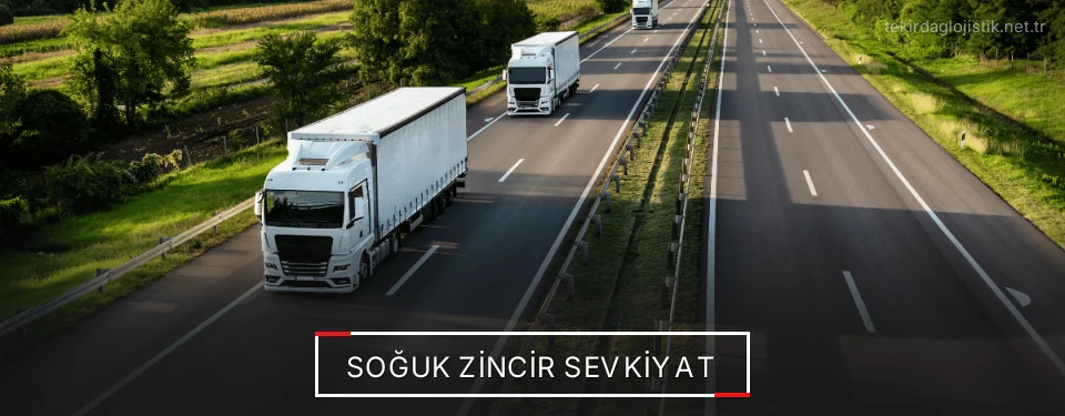 Tekirdağ Frigo Taşımacılık Firmaları