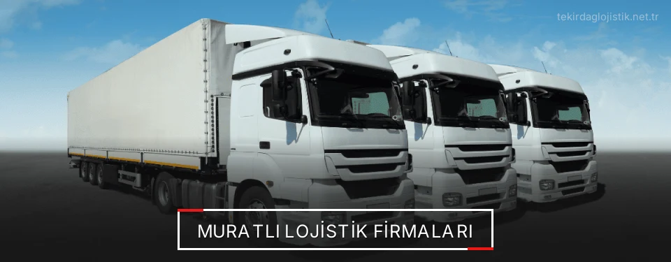 Muratlı Lojistik Taşımacılık Muratlı Lojistik Taşımacılık